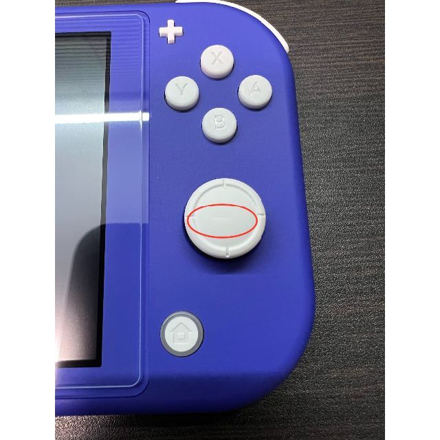 (185) 動作確認済 Switch Lite ブルー