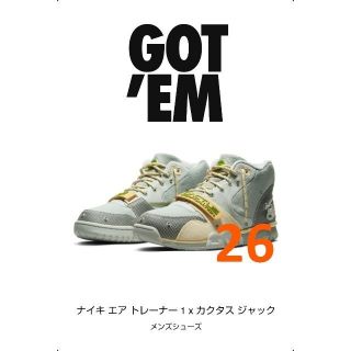 ナイキ(NIKE)のトラヴィス・スコット × ナイキ エア トレーナー 1 ”カクタス ジャック”(スニーカー)