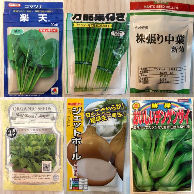 野菜の種　5種セット 食品/飲料/酒の食品(野菜)の商品写真