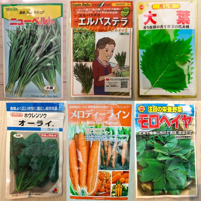 野菜の種　5種セット 食品/飲料/酒の食品(野菜)の商品写真