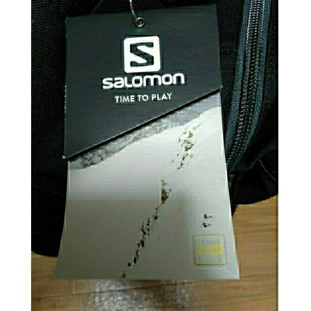 SALOMON(サロモン)のsalomon go to snow bag スポーツ/アウトドアのスノーボード(バッグ)の商品写真