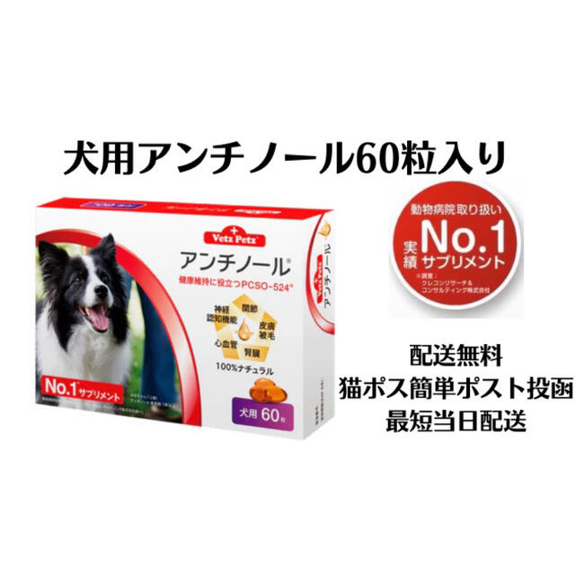 犬用アンチノール60粒入り新品未開封1箱