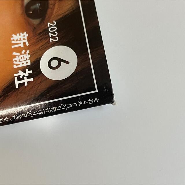 乃木坂46(ノギザカフォーティーシックス)の波　新潮社　賀喜遥香 チケットの音楽(女性アイドル)の商品写真