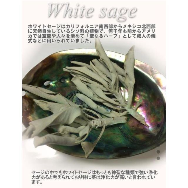ホワイトセージ 5g アバロンシェル スピリチュアル 浄化 瞑想 水晶セットの通販 by フラワーストーン's shop｜ラクマ