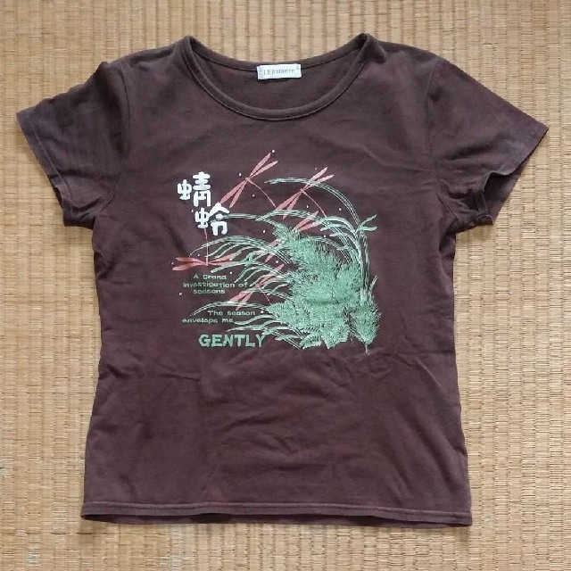 しまむら(シマムラ)の茶色　Tシャツ　Mサイズ　レディース レディースのトップス(Tシャツ(半袖/袖なし))の商品写真