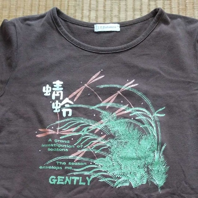 しまむら(シマムラ)の茶色　Tシャツ　Mサイズ　レディース レディースのトップス(Tシャツ(半袖/袖なし))の商品写真