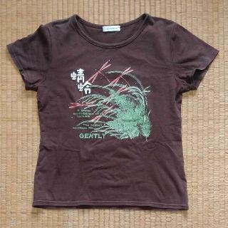 シマムラ(しまむら)の茶色　Tシャツ　Mサイズ　レディース(Tシャツ(半袖/袖なし))