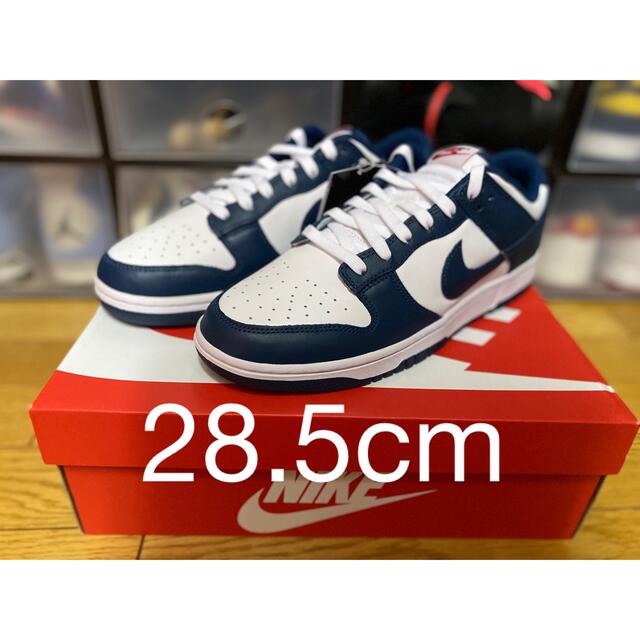 28.5cm Nike Dunk Low Valerian Blue