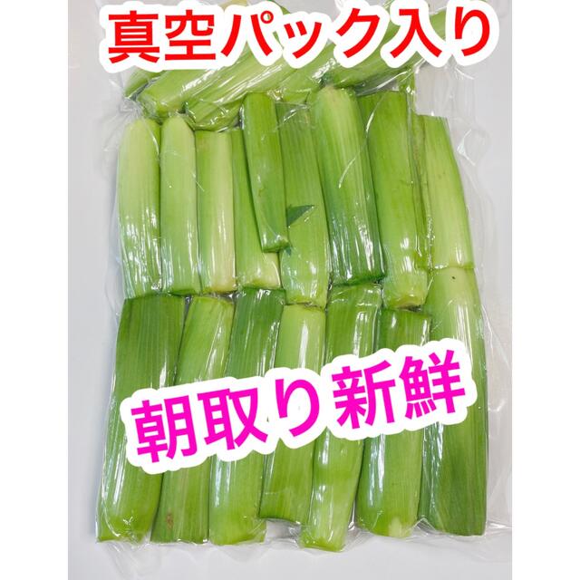 G3！ゲリラ出品！A朝採り　山梨県産　ベビーコーン　18本以上 食品/飲料/酒の食品(野菜)の商品写真