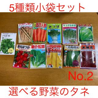 野菜の種　No.2  11種類から選べる5袋(野菜)