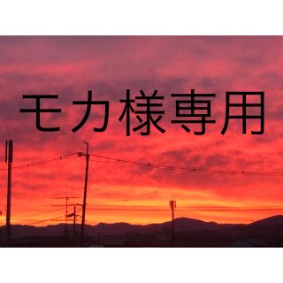レピピアルマリオ ブラトップ 子供 下着 女の子 の通販 3点 Repipi Armarioのキッズ ベビー マタニティを買うならラクマ
