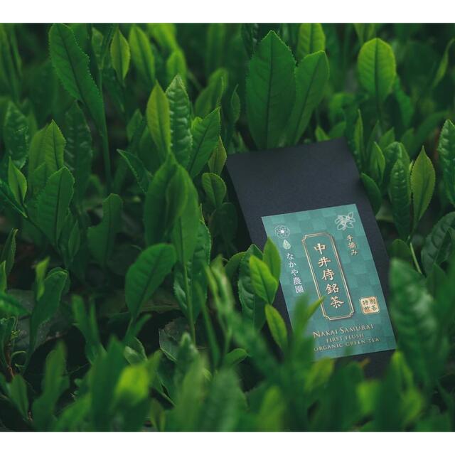 【新茶】中井侍銘茶 45g 品種:やぶきた 食品/飲料/酒の飲料(茶)の商品写真
