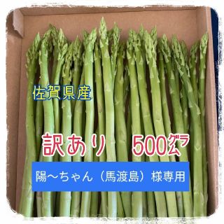 陽〜ちゃん（馬渡島）様専用　訳ありグリーンアスパラガス　500㌘(野菜)