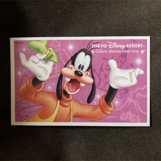 ディズニー(Disney)の【使用済】パークチケット (19)(遊園地/テーマパーク)