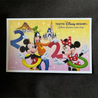 ディズニー(Disney)の【使用済】パークチケット (21)(遊園地/テーマパーク)