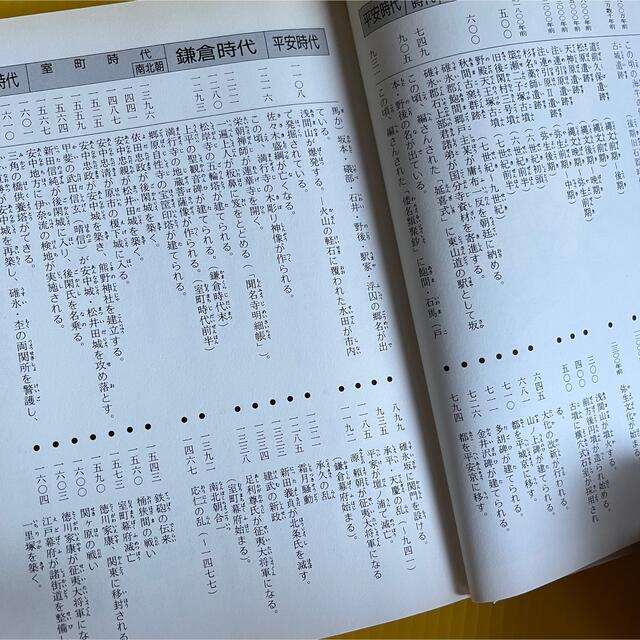 安中の歴史   エンタメ/ホビーの本(語学/参考書)の商品写真