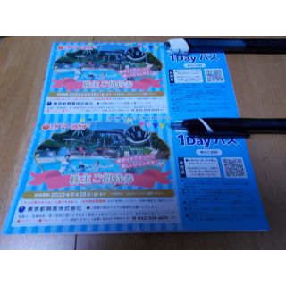 ９月２５日迄　東京サマーランド　株主優待券２枚＋６月２７日迄２枚(遊園地/テーマパーク)
