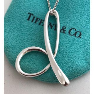 ティファニー(Tiffany & Co.)のTiffany ボリュームイニシャルd ロング チェーンネックレス希少(ネックレス)