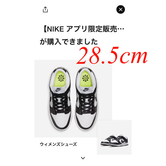 Nike Wmns Dunk Low Next Nature 28.5cm