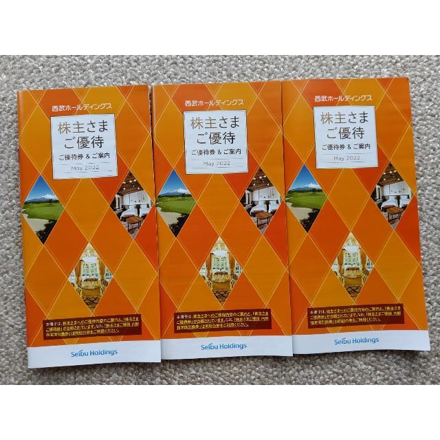 西武ホールディングス　株主優待　3冊（共通割引券30枚で30000円分など）