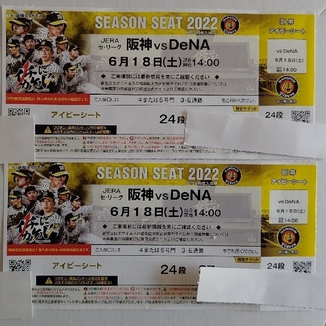 阪神タイガース - 6月18日(土)阪神甲子園球場阪神VSDeNA 1塁アイビー