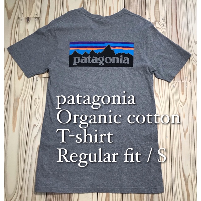 patagonia(パタゴニア)の【お値下げ】パタゴニア オーガニックコットン　ロゴT / レギュラーS メンズのトップス(Tシャツ/カットソー(半袖/袖なし))の商品写真