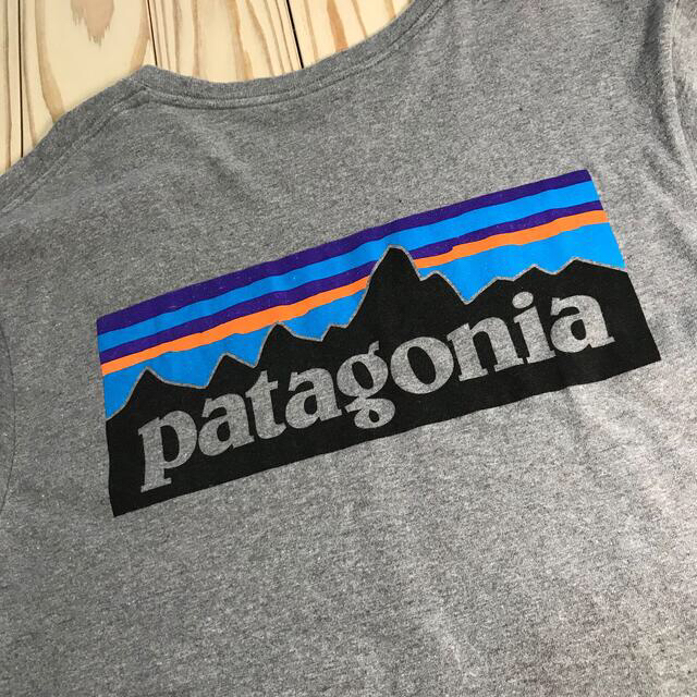 patagonia(パタゴニア)の【お値下げ】パタゴニア オーガニックコットン　ロゴT / レギュラーS メンズのトップス(Tシャツ/カットソー(半袖/袖なし))の商品写真