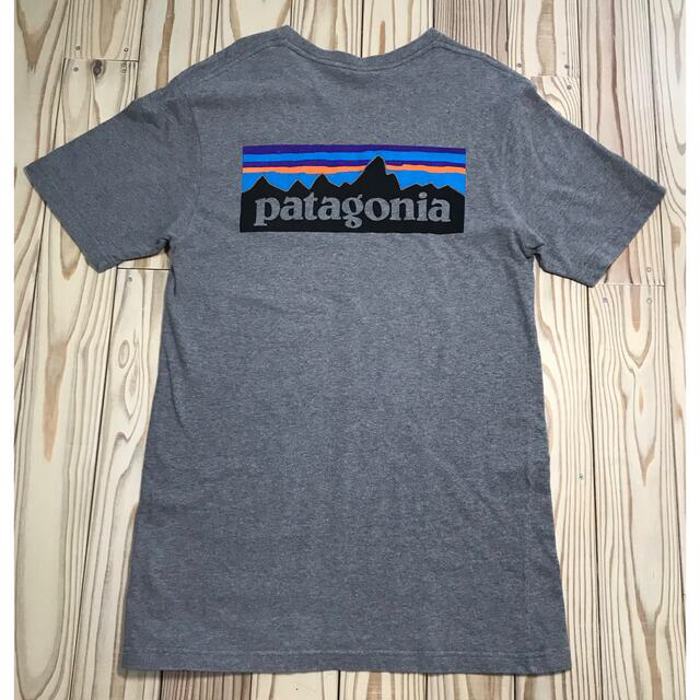 patagonia(パタゴニア)の【お値下げ】パタゴニア オーガニックコットン　ロゴT / レギュラーS メンズのトップス(Tシャツ/カットソー(半袖/袖なし))の商品写真