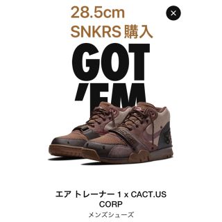 ナイキ(NIKE)のNIKE エアトレーナー1  ナイキ CACTUS CORP トラビス スコット(スニーカー)