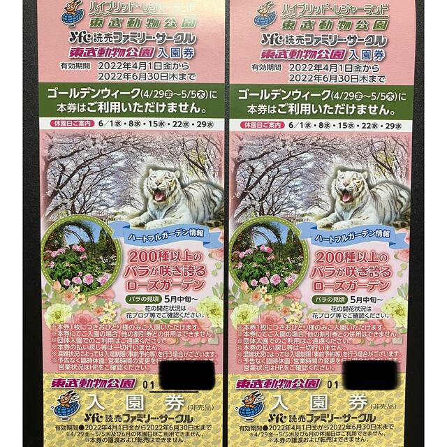 東武動物公園 入園券　2枚セット チケットの施設利用券(遊園地/テーマパーク)の商品写真