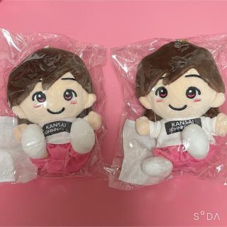 ジャニーズ(Johnny's)のなにわ男子　道枝　ちびぬい(アイドルグッズ)