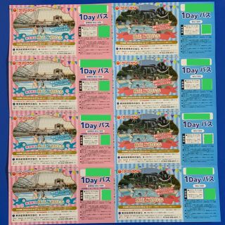 東京サマーランド 1Dayパス8枚、大井競馬場入場券1枚 東京都競馬 株主優待(遊園地/テーマパーク)