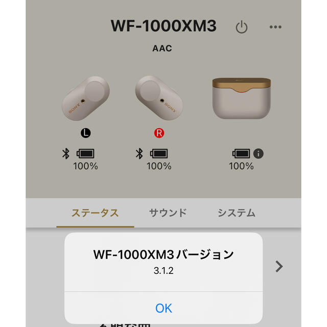 SONY ワイヤレスイヤホン WF-1000XM3 5