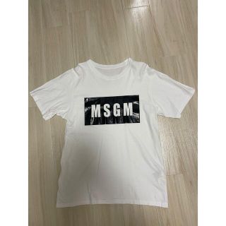 エムエスジイエム(MSGM)のMSGM t shirt(Tシャツ/カットソー(半袖/袖なし))