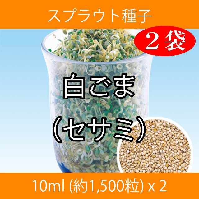 スプラウト種子 S-15 白ごま（セサミ） 10ml 約1,500粒 x 2袋 食品/飲料/酒の食品(野菜)の商品写真