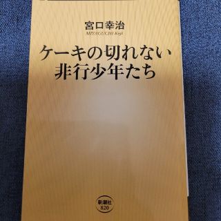 ケーキの切れない非行少年たち (新潮新書)(人文/社会)