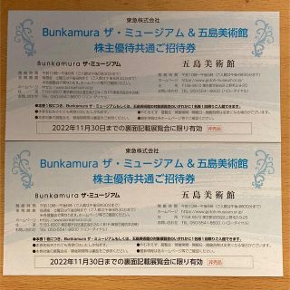 Bunkamura ザ・ミュージアム＆五島美術館　株主優待共通ご招待券(美術館/博物館)