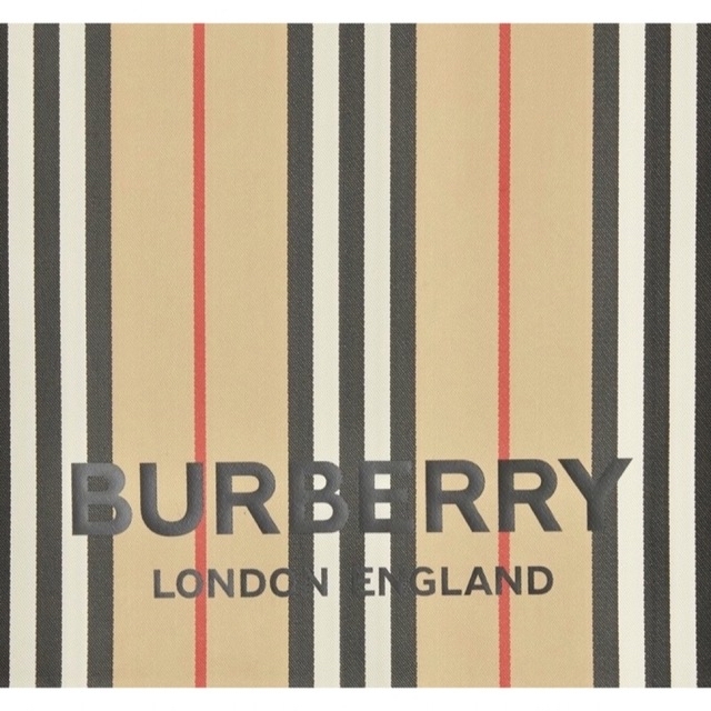 BURBERRY(バーバリー)の新品未使用　バーバリー　Burberry トート　バック　エコバッグ レディースのバッグ(トートバッグ)の商品写真