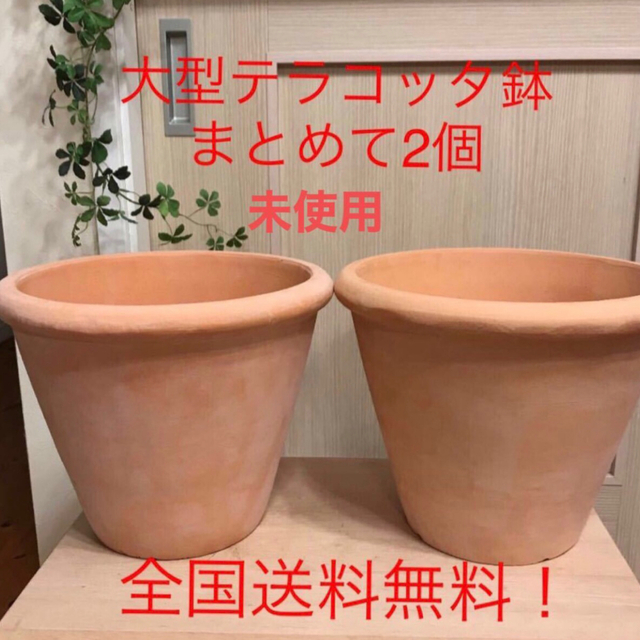 未使用 2個】シンプル 素焼き 大型 テラコッタ鉢 ガーデニング 寄せ