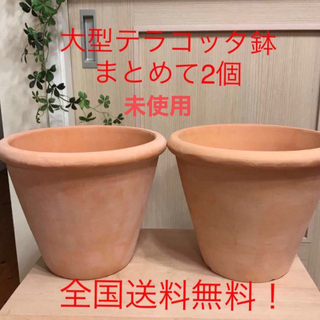 【未使用　2個】シンプル　素焼き　大型　テラコッタ鉢 ガーデニング 寄せ植え(プランター)
