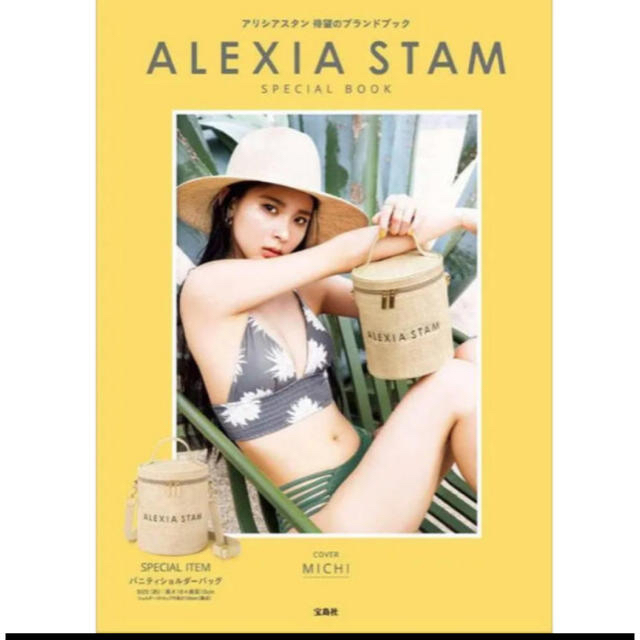 ALEXIA STAM(アリシアスタン)の美品 アリシアスタン　バニティ　ショルダー　バック レディースのバッグ(ショルダーバッグ)の商品写真