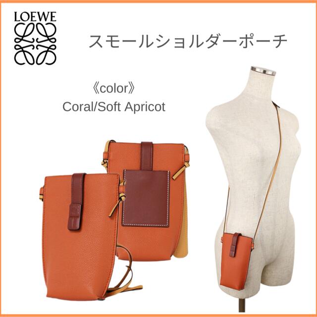 【限定1点】LOEWE スモールショルダーポーチ