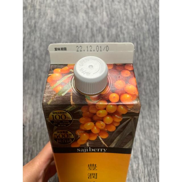 豊潤サジー1000ml×3本 他おまけ付き 飲料 豊潤サジー1000ml×3本 他おまけ付き 飲料