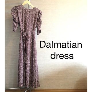 クリア(clear)のDalmatian dress(ロングワンピース/マキシワンピース)