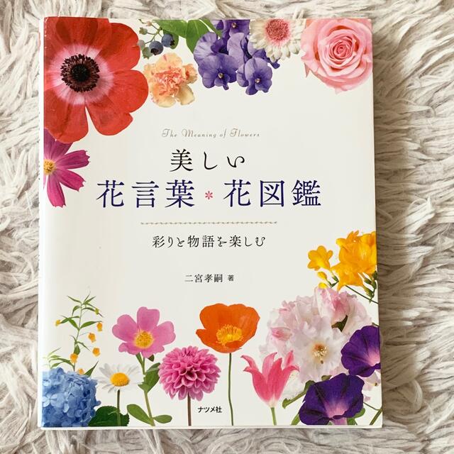 美しい花言葉 花図鑑 彩りと物語を楽しむの通販 By ぐーめー S Shop ラクマ