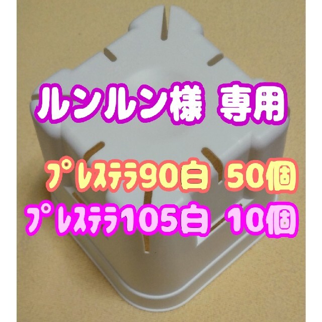 【スリット鉢】プレステラ105白10個 他 多肉植物 プラ鉢 ハンドメイドのフラワー/ガーデン(プランター)の商品写真