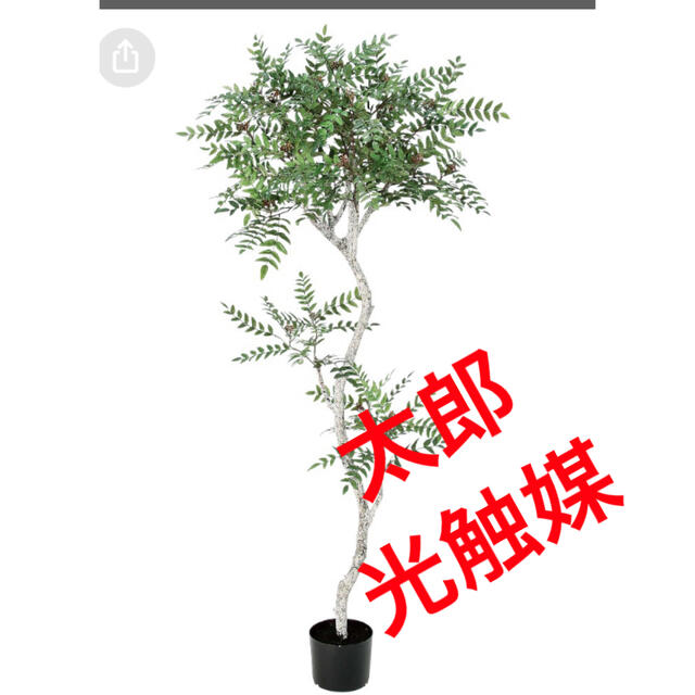 光触媒　人工観葉植物　ウォールグリーン　フェイク　フラワー　ロカストツリー