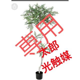 光触媒　人工観葉植物　ウォールグリーン　フェイク　フラワー　ロカストツリー(置物)