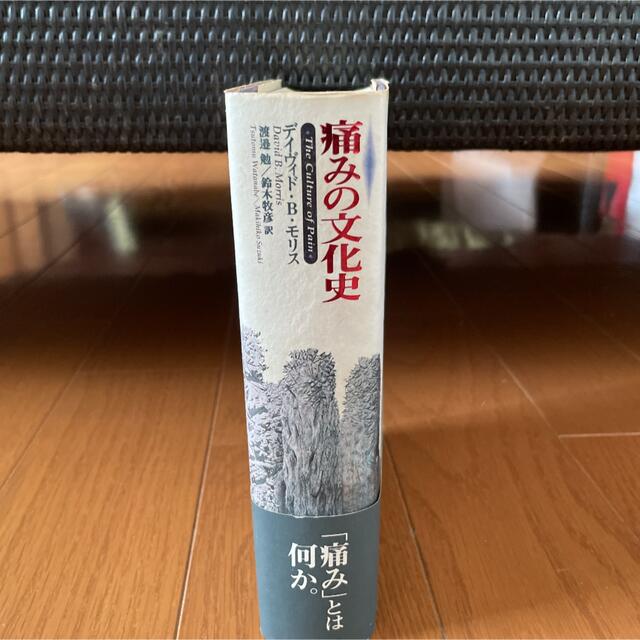 痛みの文化史 1