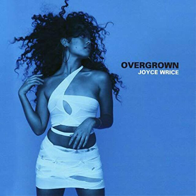 JOYCE WRICE / OVERGROWN レコード　アナログLP